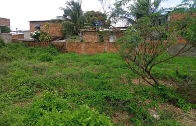 Imagem 2: Lote 10X20 (Loteamento Nova Guararapes