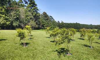 Imagem 5: Chácara no Pico das Cabras