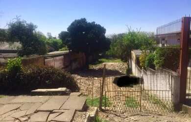 Imagem 3: Terreno em Glória