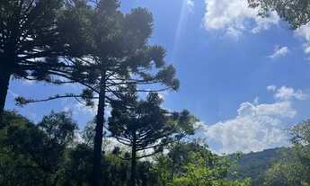 Imagem 3: Terrenos 20.000 m² - Santa Lucia do Piaí - Caxias do Sul