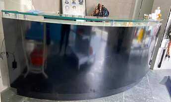 Imagem 6: Vende-se petshop com banho e tosa