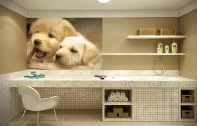 Imagem 3: Apartamento para venda tem 66 metros quadrados com 3 quartos em Vila Augusta - Guarulhos