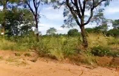 Imagem 2: Dois terrenos em Anhanduí