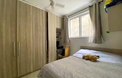 Imagem 7: Casa em Ribeira a venda