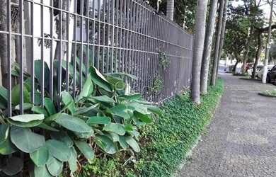 Imagem 7: Apartamento à venda no Cambuí - Campinas