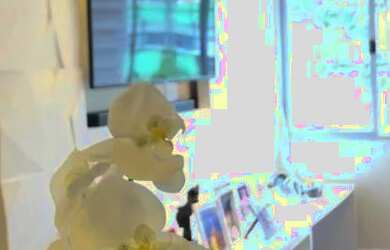 Imagem 7: Apartamento para Locacão no Centro de Florianópolis