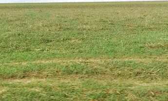 Imagem 4: R$120 Milhões 420 alqueires em Itaruma-GO