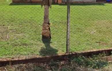 Imagem 3: Casa em Maracaí SP, terreno grande