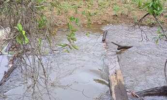 Imagem 3: Chácara 2 he em Alexania GO