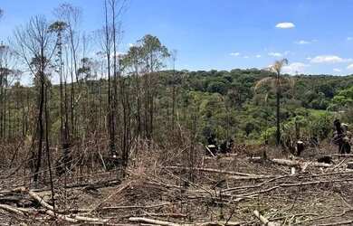 Imagem 9: Terreno de 500m² em Ibiúna com Condições Especiais por Tempo Limitado