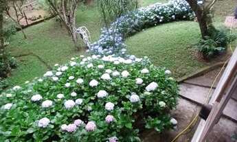 Imagem 4: Chácara em Sjp na continuação do caminho do vinho, Troco, Vendo