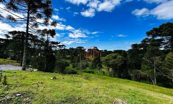 Imagem 3: Terreno à Venda em São Francisco de Paula!