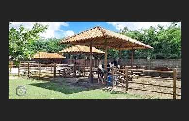 Imagem 5: Lote 600m² à venda no Haras Residence