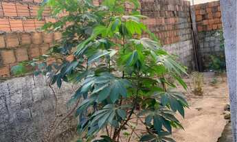 Imagem 5: Vende-se está casa na Marambaia/EC