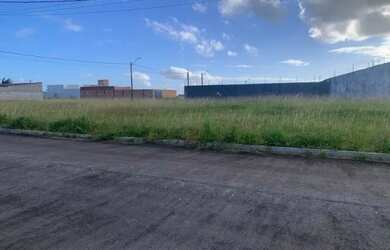 Imagem: REPASSO 2 LOTES NO BURITI PENEDO 14MIL CADA