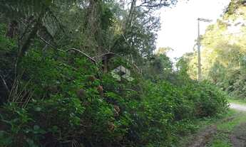 Imagem 6: Terreno com 2.440 m2 no Parque Suíço em São Francisco de Paula