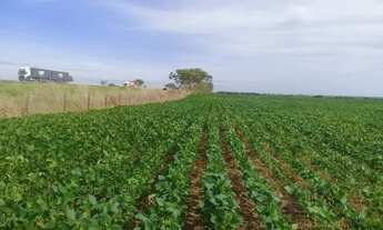 Imagem: Fazenda a venda em Campo Alegre de Goiás!!