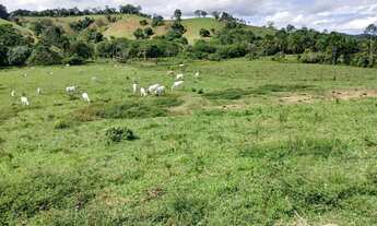 Imagem 3: Vendo excelente fazendinha em Nazaré das farinha