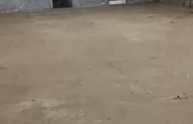 Imagem 3: ÓTIMO GALPÃO EM RUA SEM SAIDA - 1.000 M2 - ÁREA CONSTRUIDA 725 m2500M2