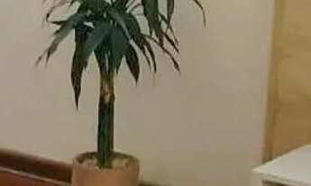 Imagem 2: Sobrado em Rua Tremembé - Rudge Ramos - São Bernardo do Campo/SP