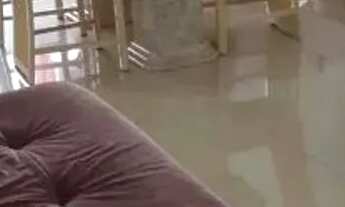 Imagem 2: APARTAMENTO - ACLIMAÇÃO - SP