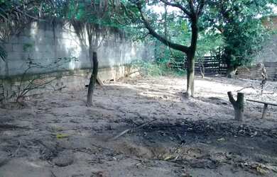 Imagem 2: Chácara recanto dos sonhos