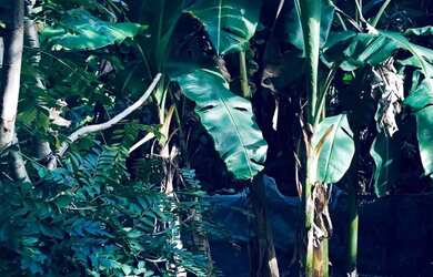 Imagem 7: CASA 2 QUARTOS ANEXO CODADE 2000