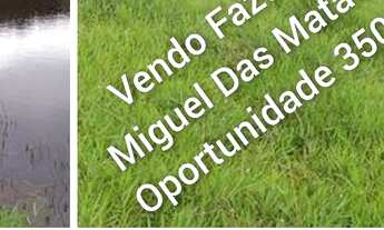 Imagem: Vendo Excelente Fazenda Em São Miguel Das