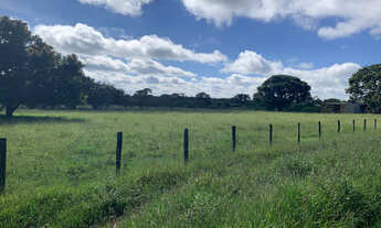 Imagem 7: Chácaras Bonanza - 10.000 mts