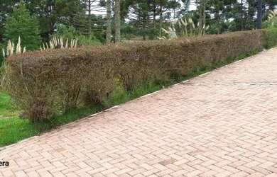 Imagem 5: Terreno para Venda em Campos do Jordão, Jardim das Perolas