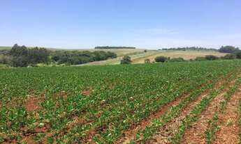 Imagem: Fazenda/Sítio/Chácara para venda tem 500