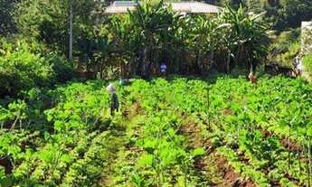 Imagem 5: CHÁCARA SÃO DOMINGOS GOIÂNIA/GO
