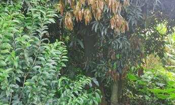 Imagem 6: Terreno à venda, 367 m² por R$ 850.000,00 - Centro - São Bernardo do Campo/SP