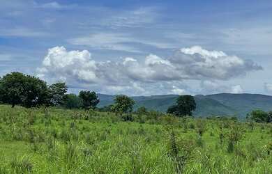 Imagem 6: Vende-se uma bela fazenda de 407 hectares