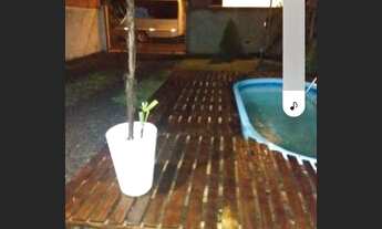 Imagem 4: Vendo casa loteamento zona norte dois dormitórios