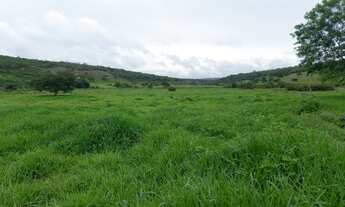 Imagem 6: Fazenda à venda, m² por R$ 62.000.000,00 - Santa Luzia - Jequitinhonha/MG