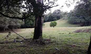 Imagem 3: Sítio 1 Dormitório(s) no Bairro Linha Nova Baixa em Presidente Lucena REF: 210205