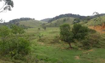 Imagem: Linda Fazenda 40 alqueires Formada, Tanques