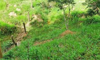 Imagem 6: Sítio para Venda, Silvas