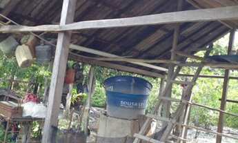 Imagem 6: Lote 190 mil,com pasto,casa.arvores frutíferas