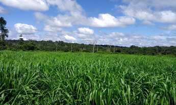 Imagem 4: TERRA SITIO FAZENDA