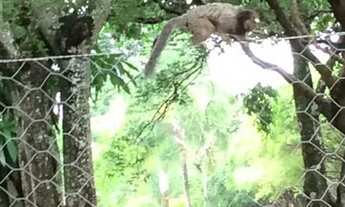 Imagem 3: Sitio 8 hectares incra 8