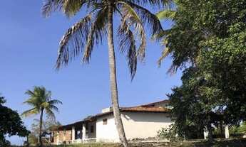 Imagem 6: Granja pertinho do mar na bela Praia de Caraúbas - Maxaranguape