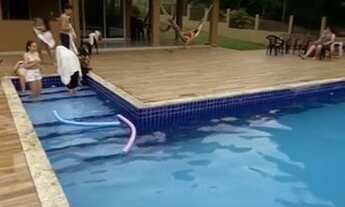 Imagem 4: Lindo Sítio de porteira fechada!