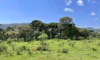 Imagem 6: Chácara em Urubici