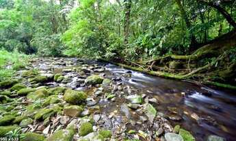 Imagem 7: ÁREA DE MATA ATLÂNTICA - GUARAQUEÇABA/PR - 215 alqueires (520 hectares