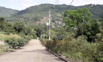 Imagem 5: Lindos Terrenos Loteamento Novo em Picada Café! REF: 410