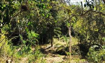 Imagem 5: Chácaras de 20.000 (2 hectares) em Cordisburgo - R$ 17.950,00 + parcelas.