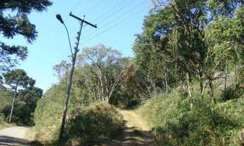 Imagem 4: Terreno no bairro Três Pinheiros em Gramado!