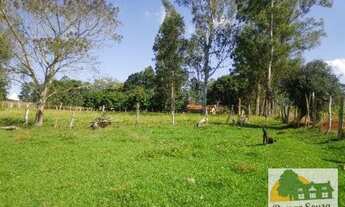 Imagem 7: Sítio para venda com 30.000 m2 em Cesário Lange